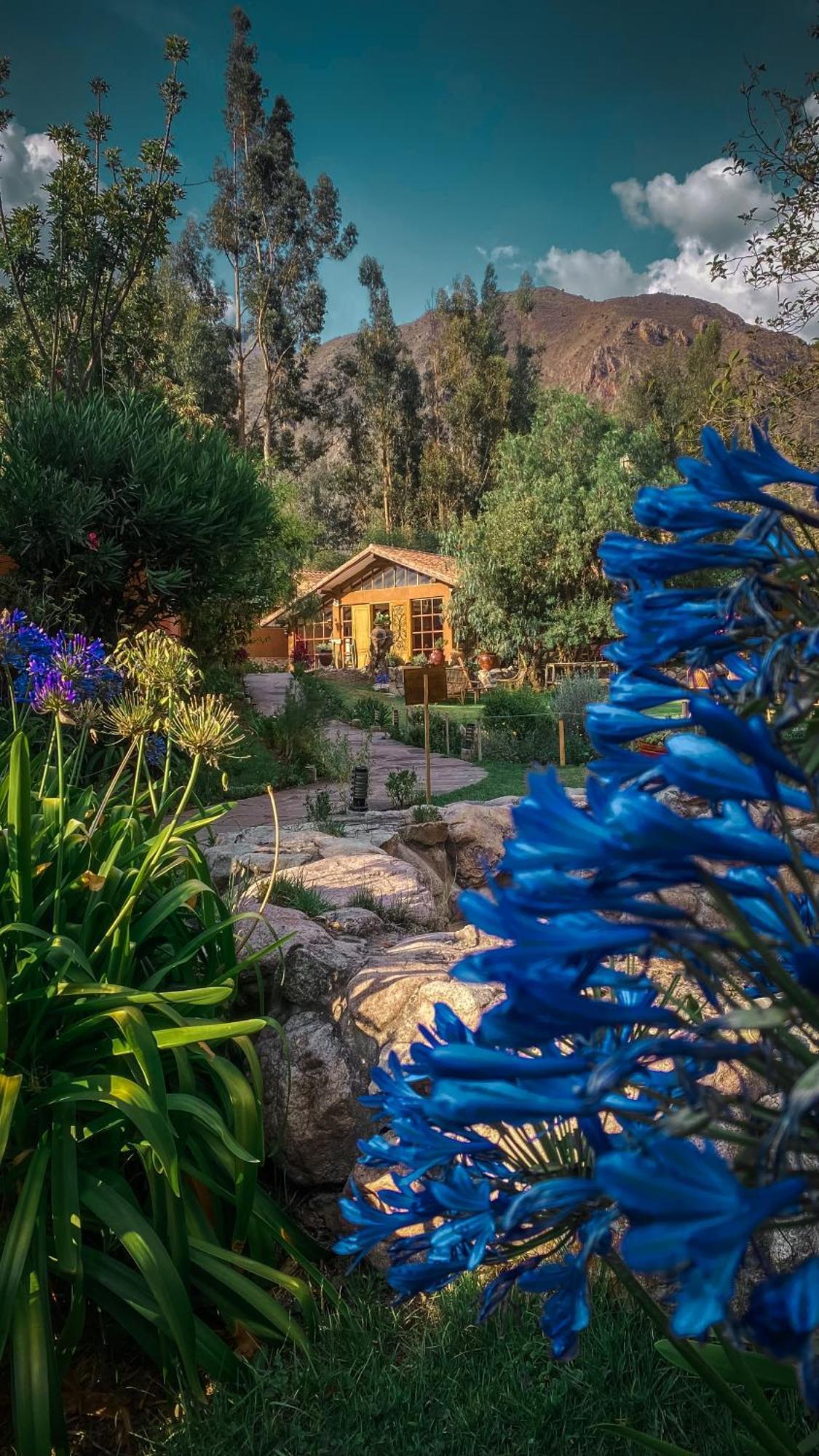 Andean Wings Valley Urubamba Εξωτερικό φωτογραφία